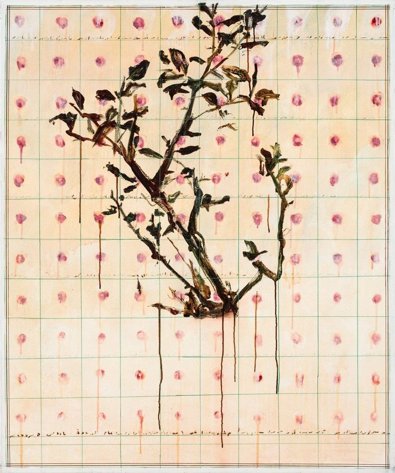 Azadeh Razaghdoost, Untitled