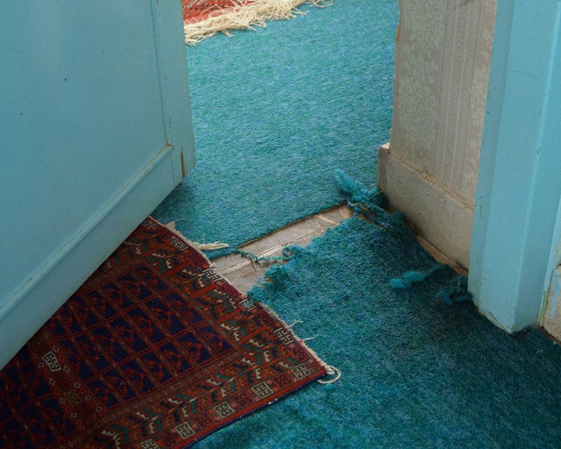 Niki Shadloo, Untitled, 2025