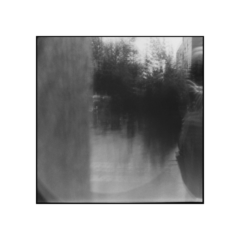 Sina Boroumandi, Untitled, 2019