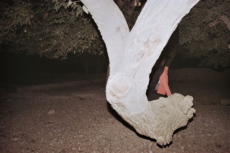 Shima Rastin, Untitled, 2021