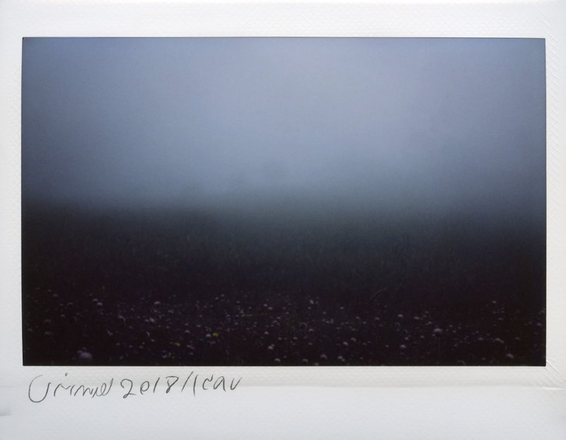 Mehrdad Afsari, Untitled, 2019