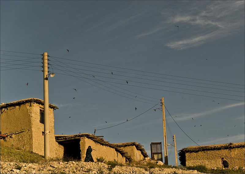 Zhoobin Mireskandari, Nature - Suburbs