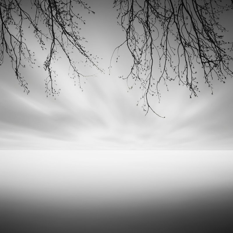 Amirhossein Shojai, Untitled, 2015