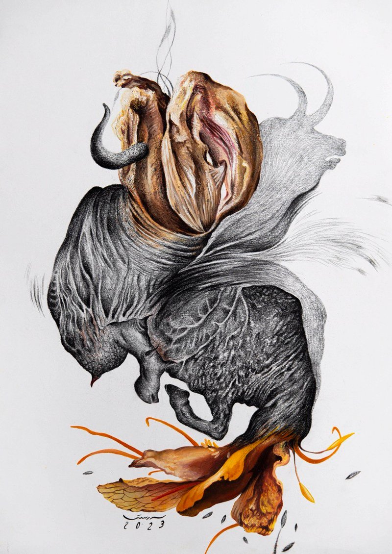 Azin Rostami, Untitled