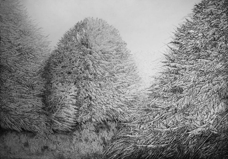 Mahsa Arabzadeh, Untitled, 2023