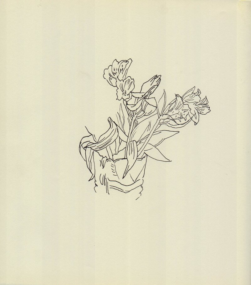 Hosein Shirahmadi, Flowers, 2019