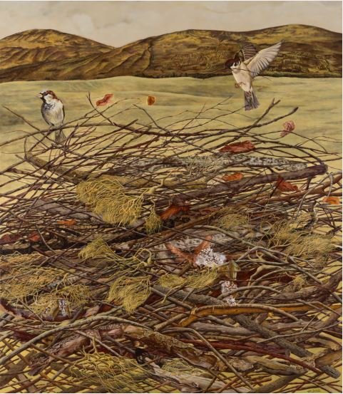 Fereshteh Arastouei, Untitled, 2022