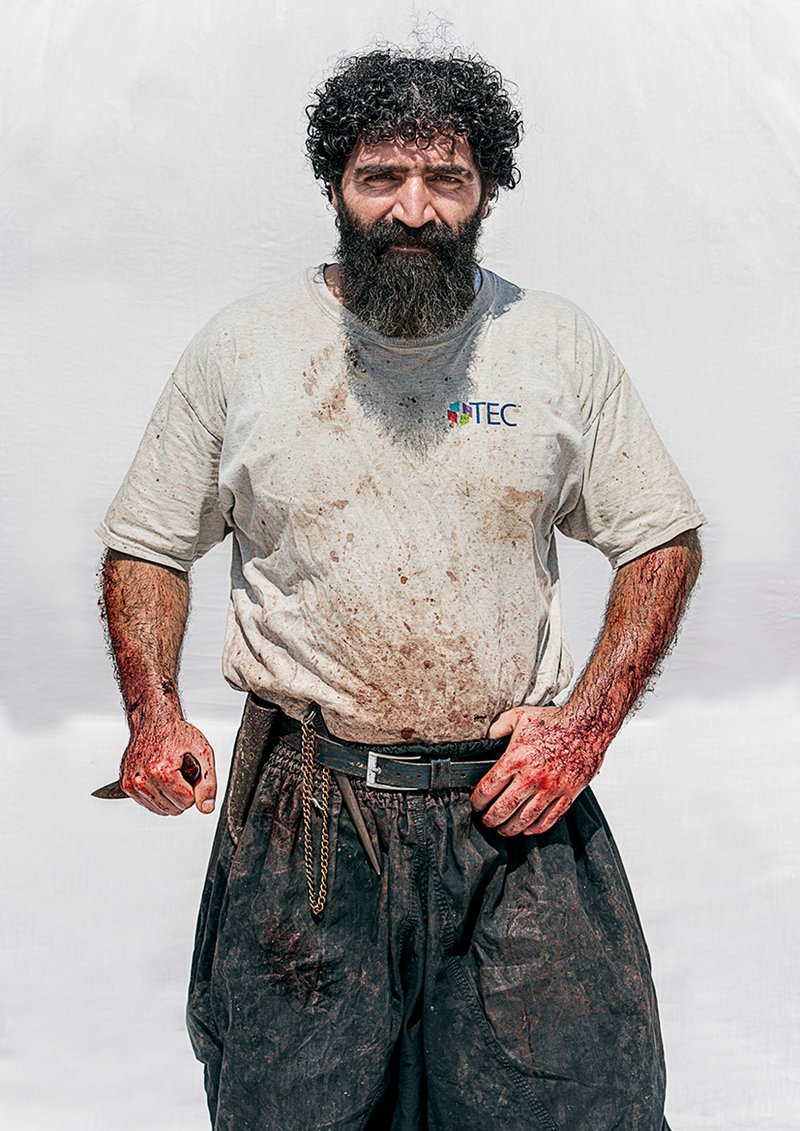 Farhad Faraji, Untitled