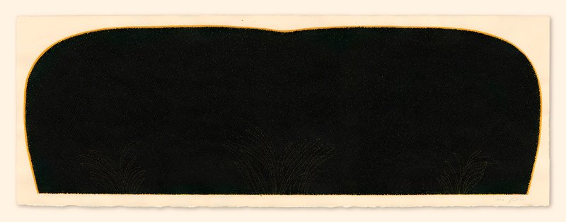 Vahid Hakim, Horizontal Landscape Night Shrubbery, 2016