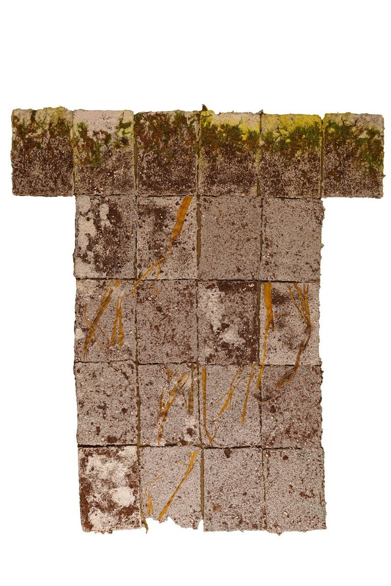 Hedie Khanali, Untitled