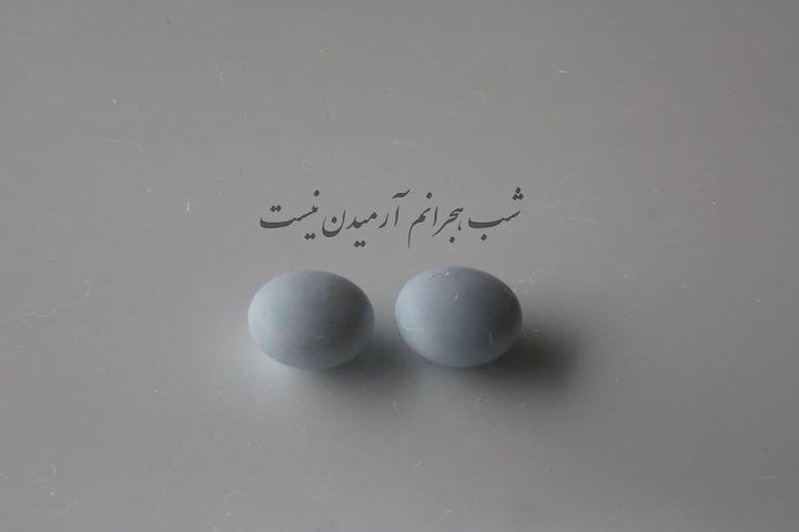 محمودرضا نوربخش، بدون عنوان