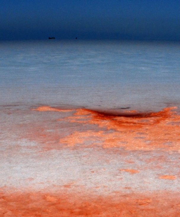 Mohsen Bayramnejad, The tragedy of lake Urmia, 2008
