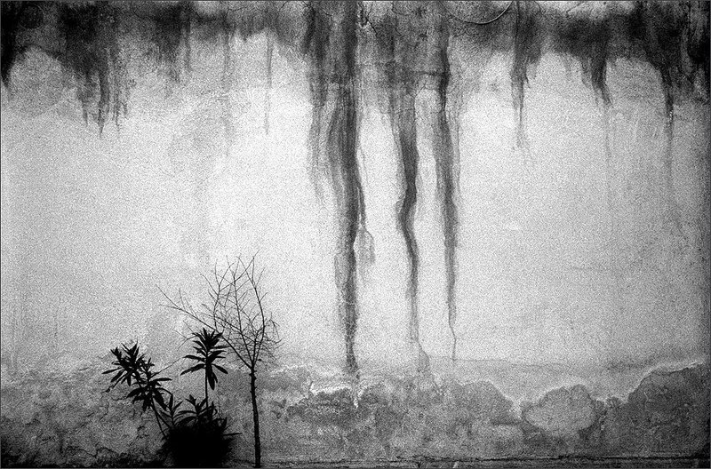 Zhoobin Mireskandari, Untitled