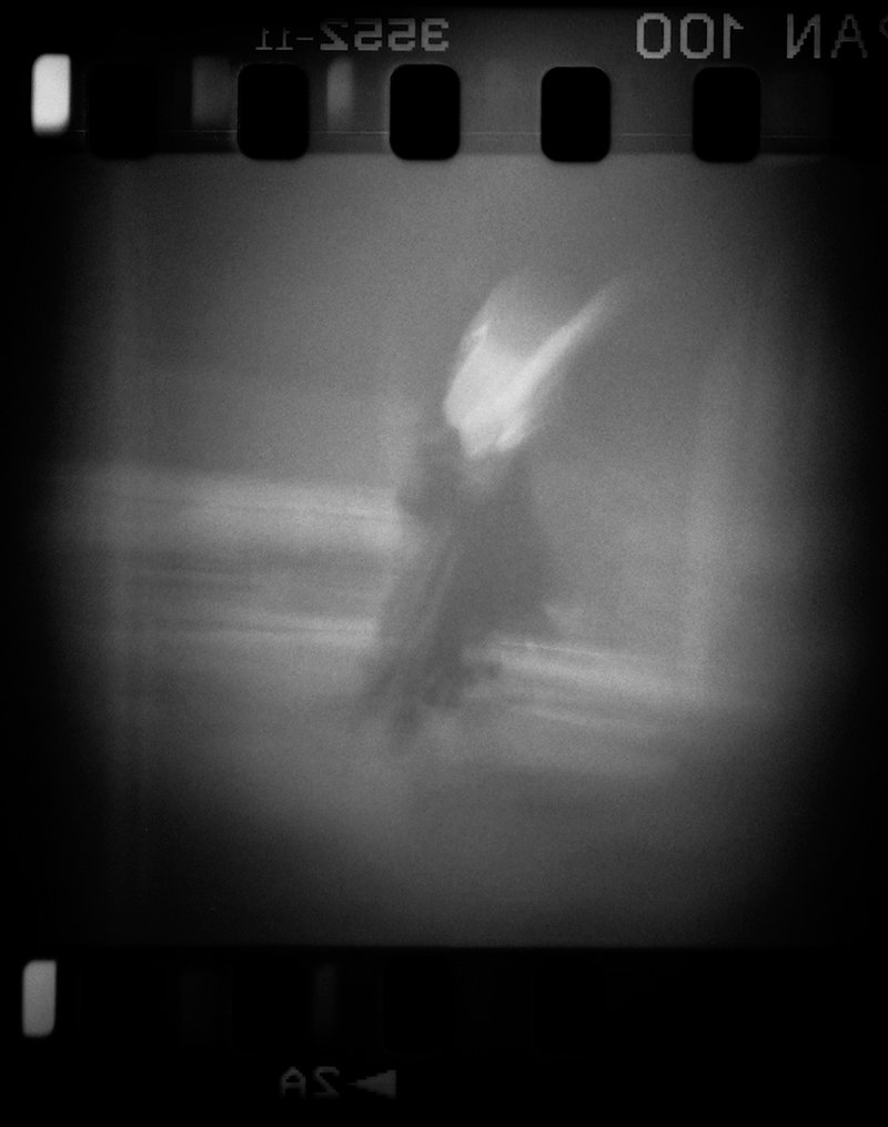 Sina Boroumandi, Untitled, 2019