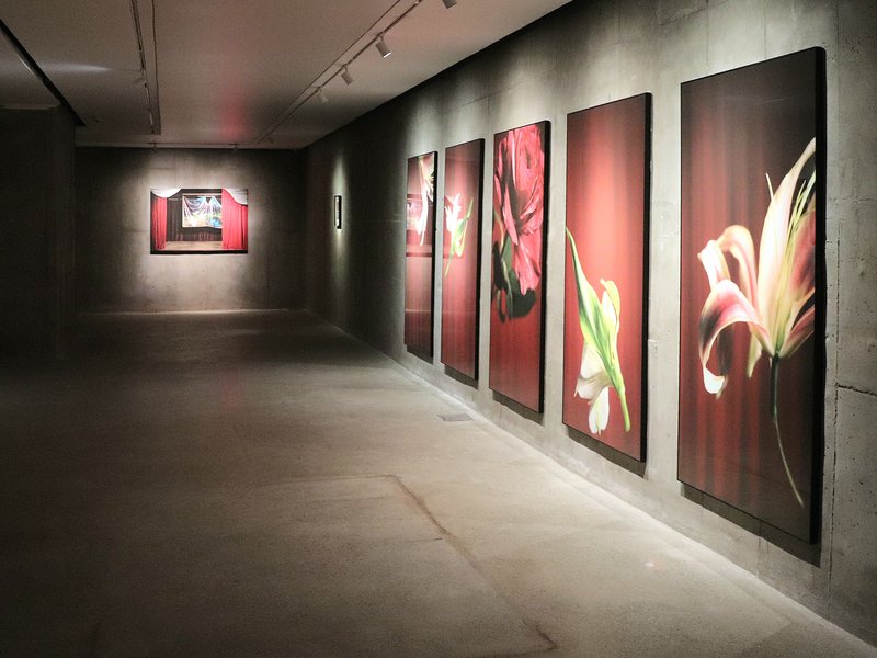 Curtain Call, installation view