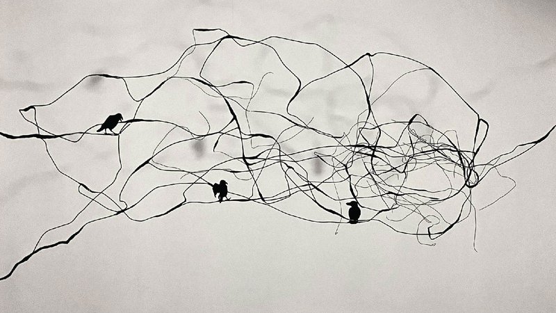 Fatemeh Safari, Untitled