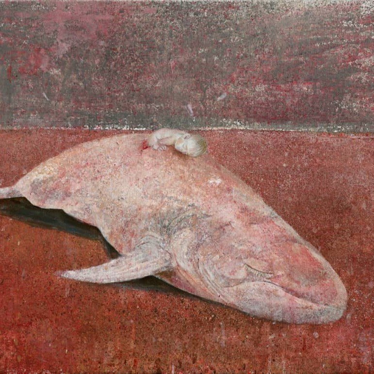 ماهی