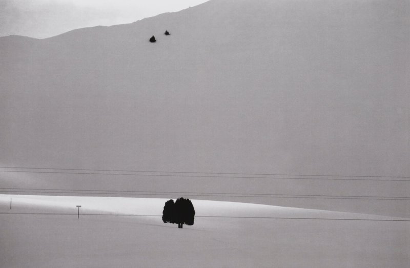 Abbas Kiarostami, Untitled, 2004