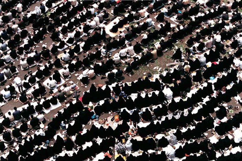 جمشید بایرامی، برگ‎‎‎‎‎‎‎‎‎ها، 1387