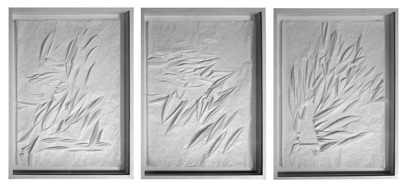 Navid Salajeghe, Untitled