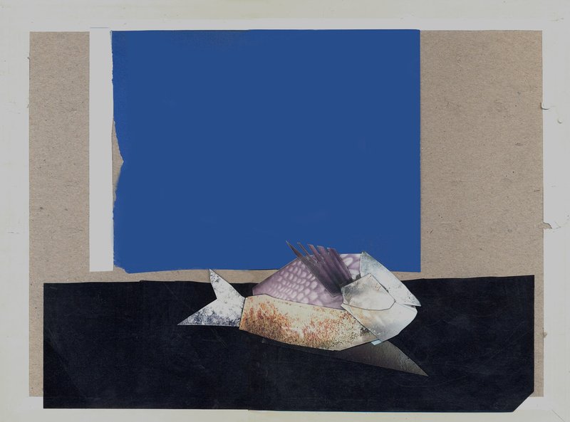 Mirmohamad Fatahi, Window and Dead Fish, 2017