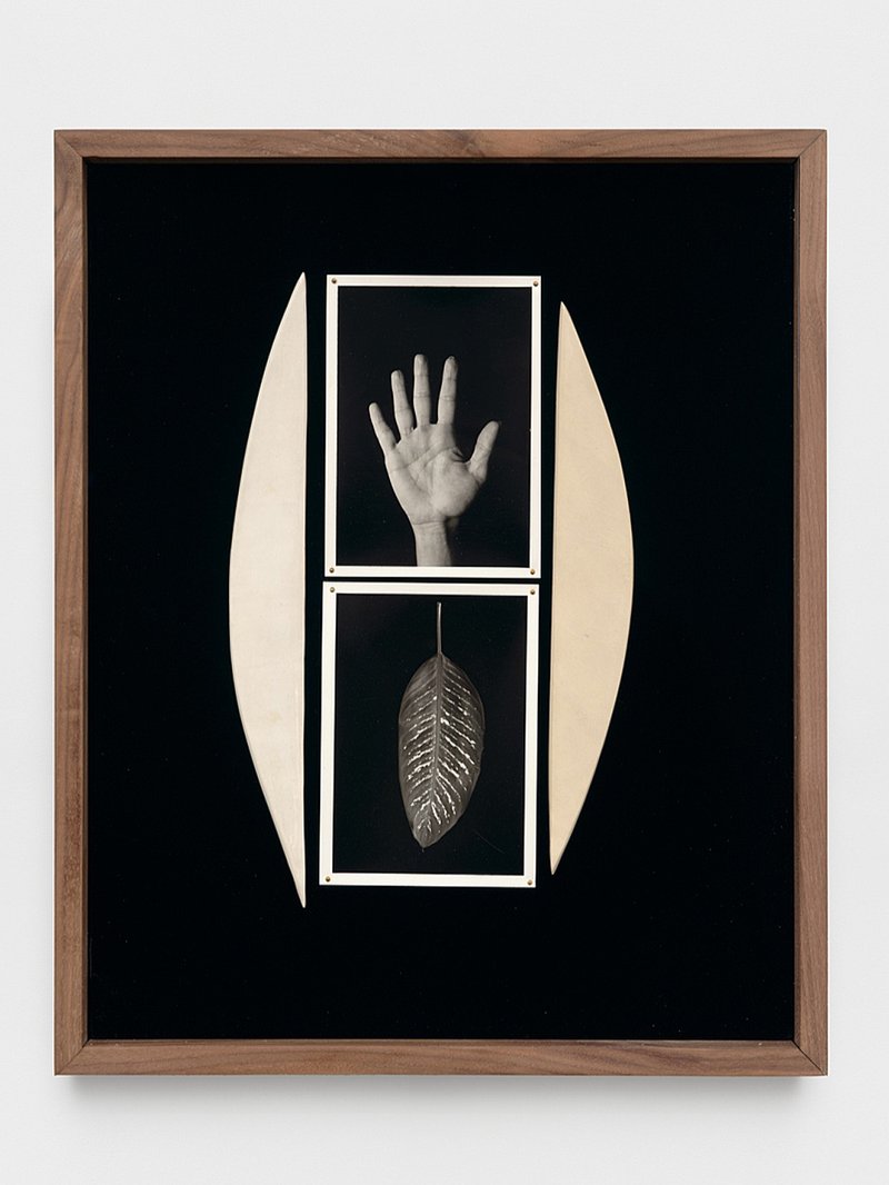 Sheree Hovsepian, Vow, 2024