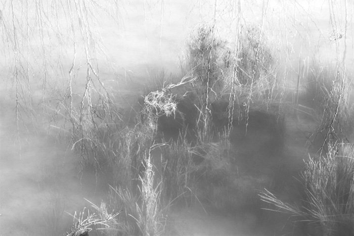 Silence