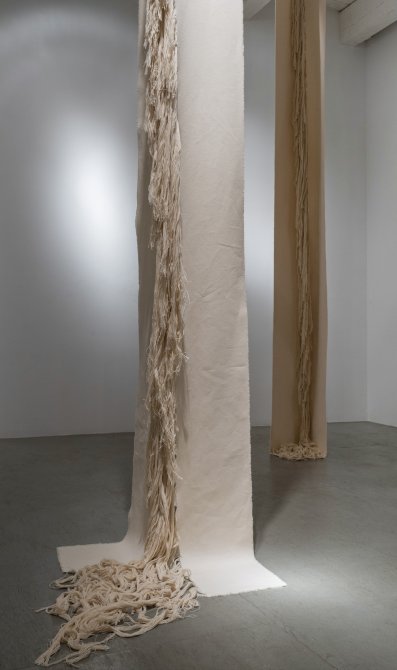 Homa Shojaei, Inside And Outside