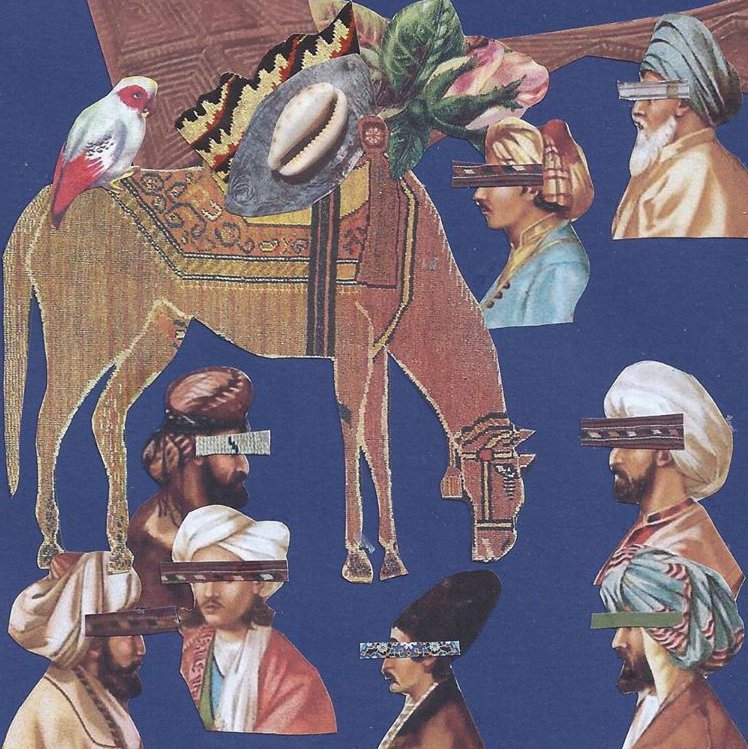 ماجراهایی از بانو بودنش