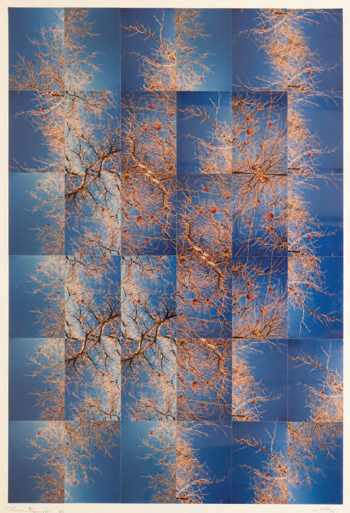 Ramin Haerizadeh, Untitled, 2003