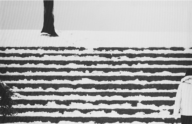 Abbas Gharib, Snow White, 2012