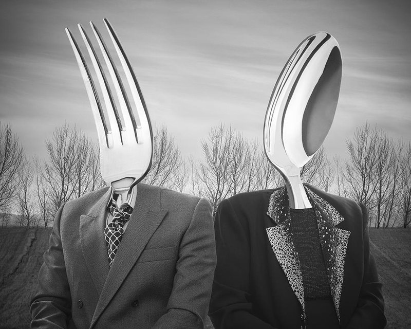 Mahdieh Afshar Bakeshloo, Mr. Fork and Mrs. Spoon