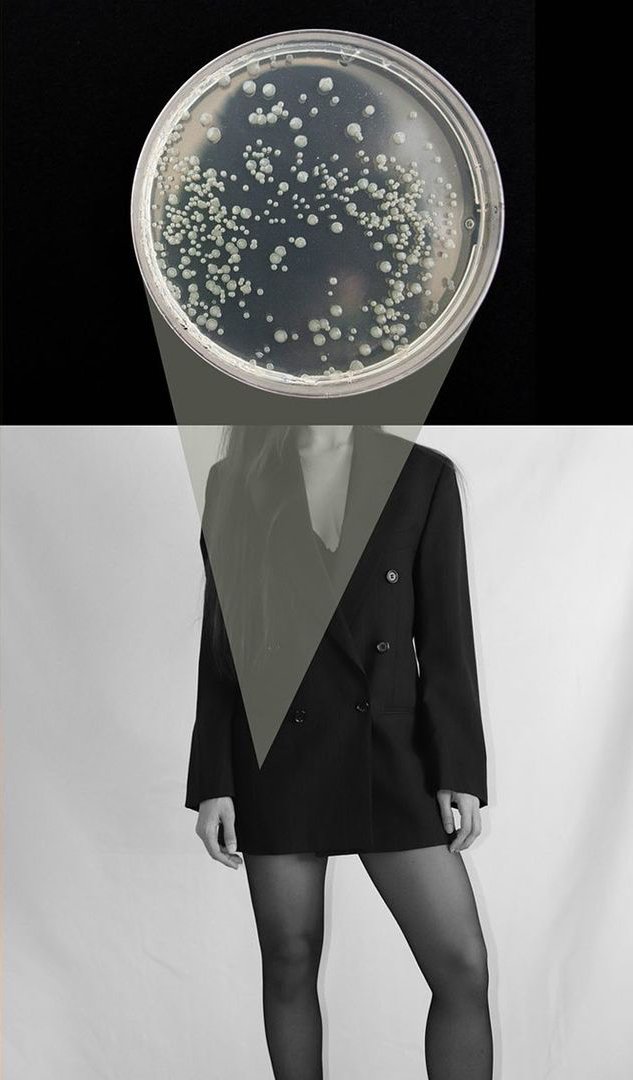 Faezeh Tabatabie manesh, Untitled, 2021