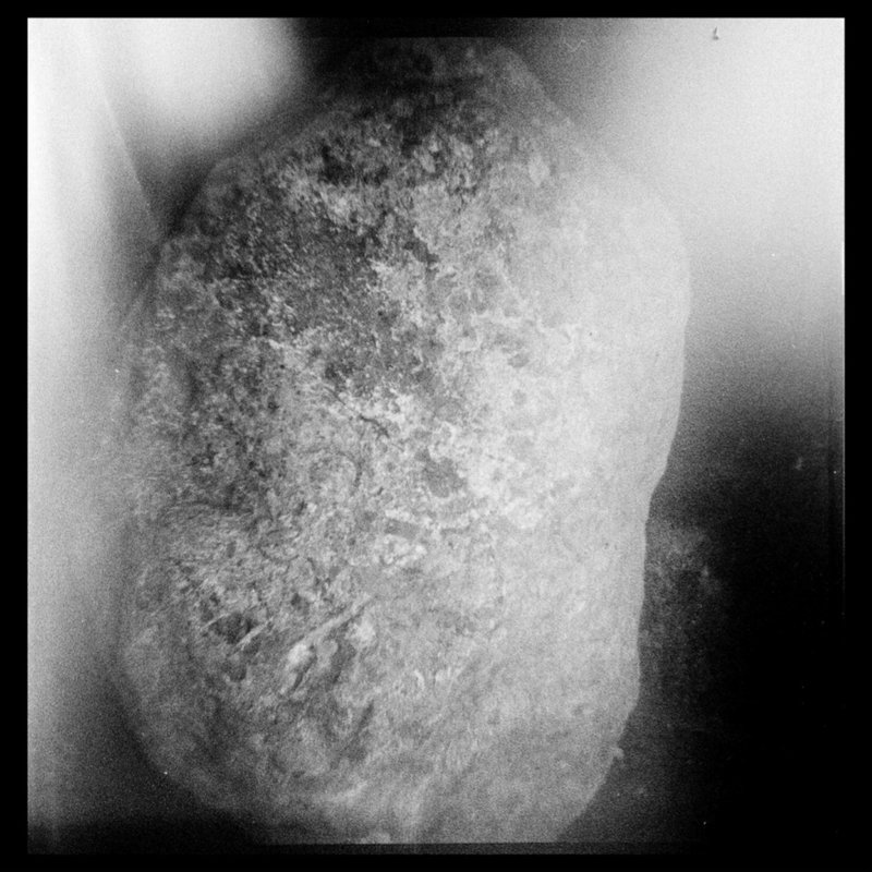 Mohammad Ghazali, The Stone Knows, 2024