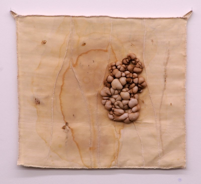 Elnaz Javani, Fate, 2011