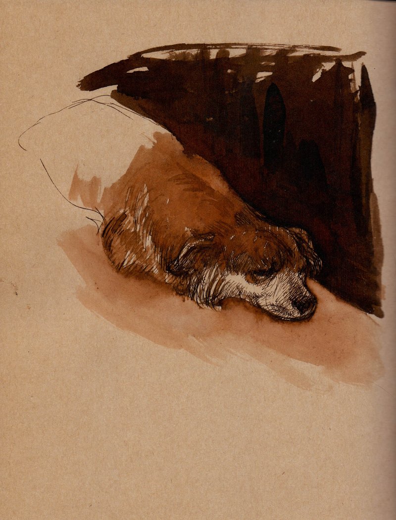 Hosein Shirahmadi, A portrait (Brownie the sad Dog), 2020