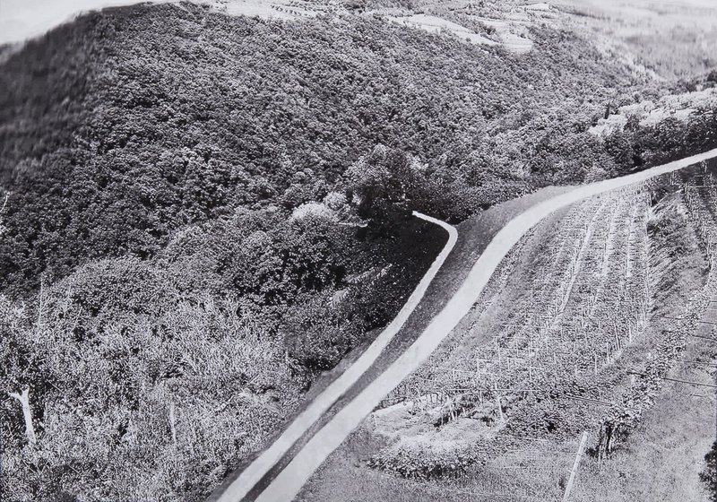 Abbas Gharib, The Roads, 2019