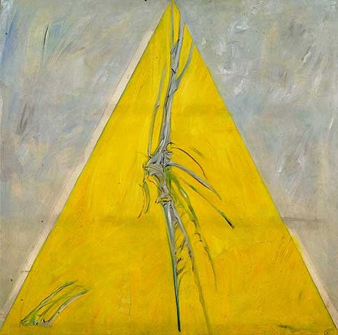 Nima Petgar, Untitled