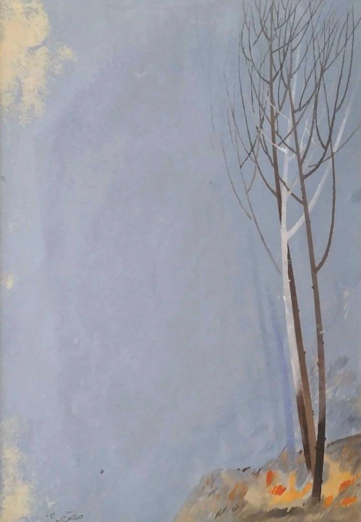 Rezvan Sadeghzadeh, Untitled