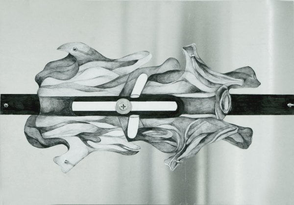 Ila Firouzabadi, Untitled, 2019