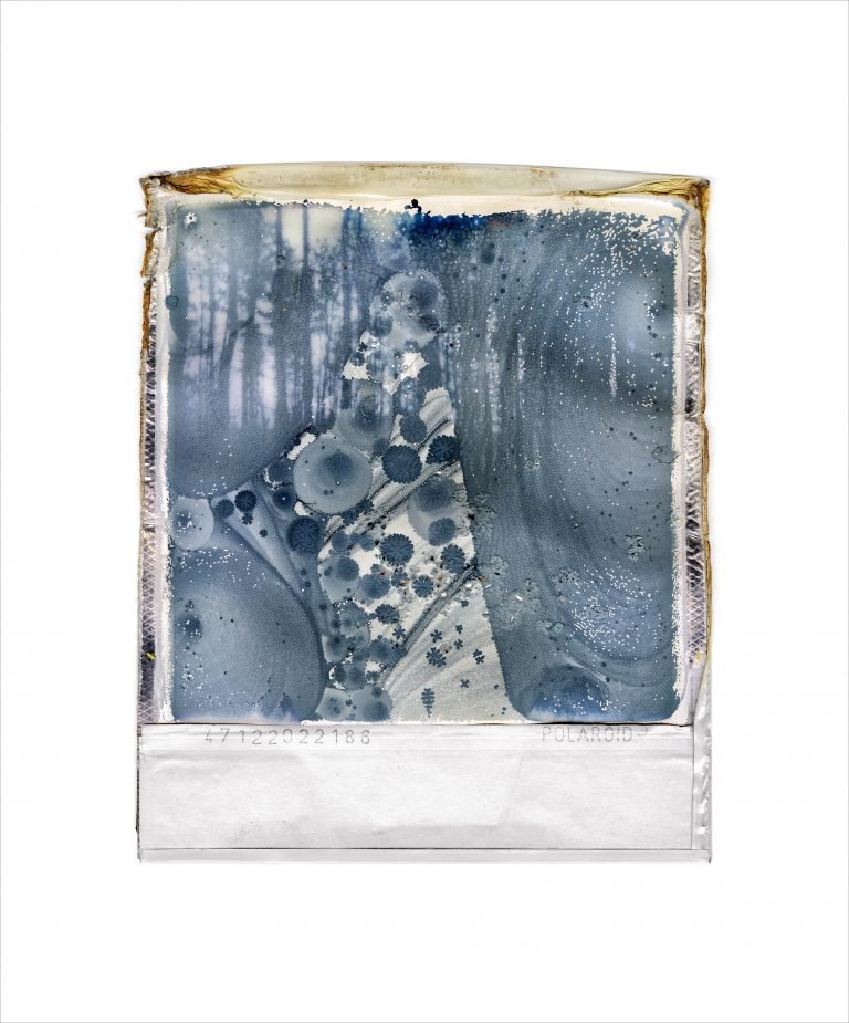 Gohar Dashti, Untitled, 2022