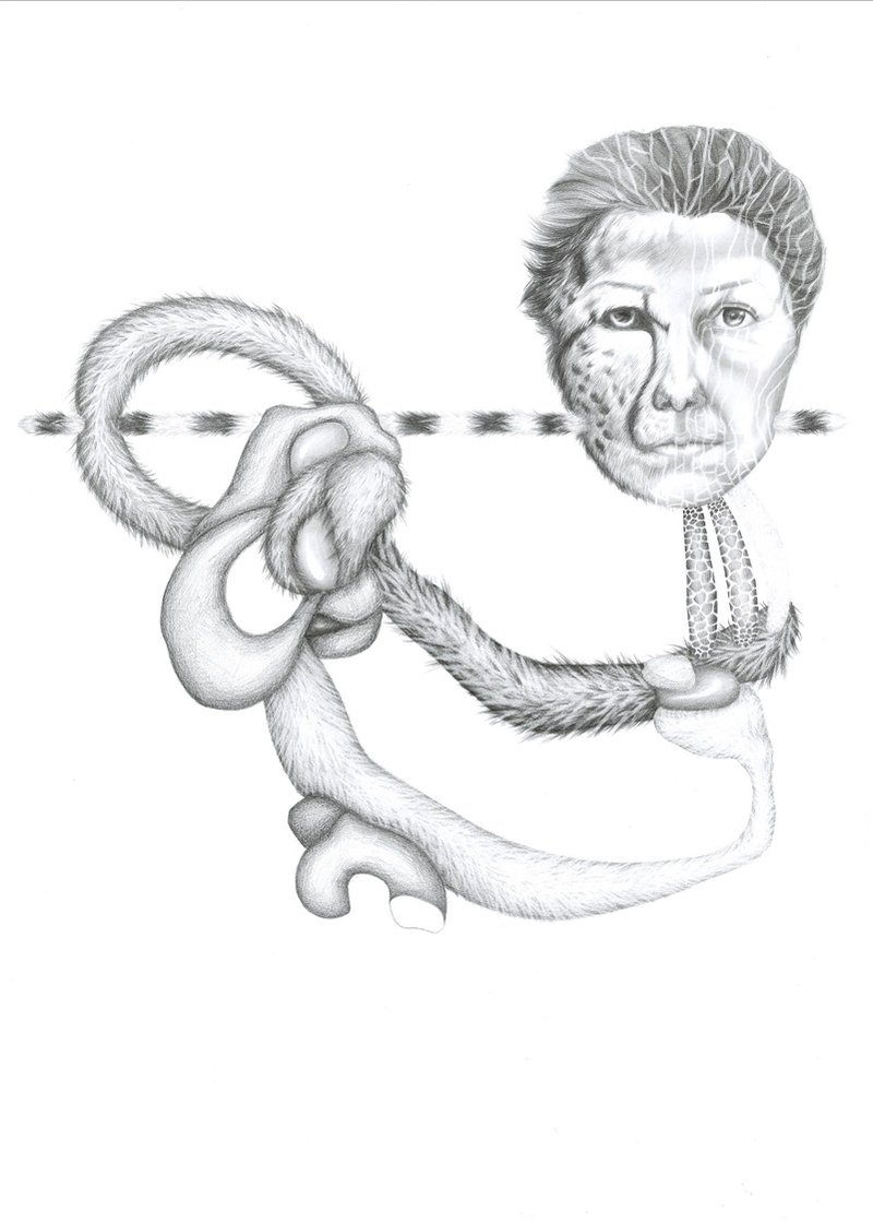 Sahar Safarian Baranlou, Untitled, 2010