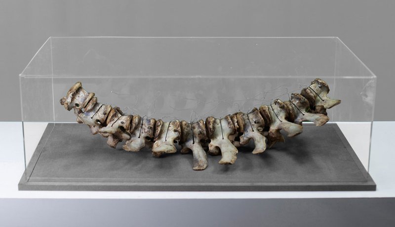 Farzad Shekari, Untitled, 2020