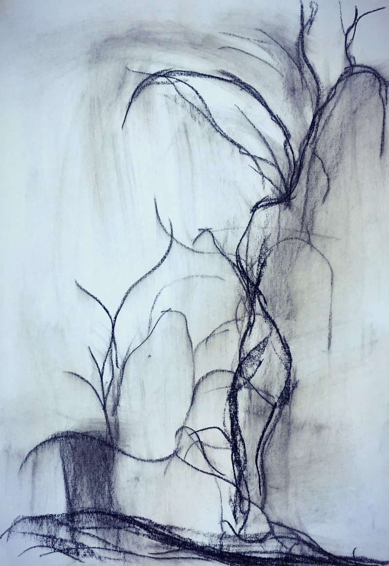 Parisa Shabani, Untitled, 2020