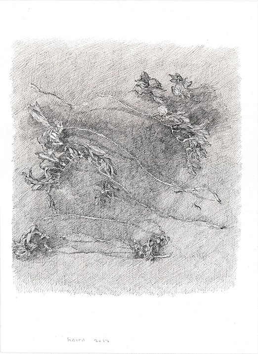 Kasra Golrang, Untitled, 2017