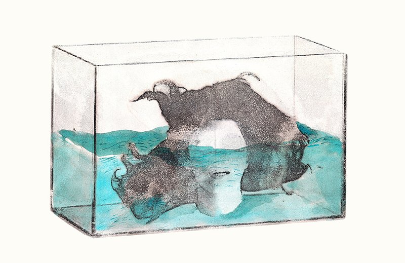Payam Mofidi, Untitled, 2014