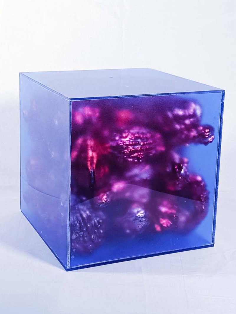 Sara Rahanjam, Untitled, 2024