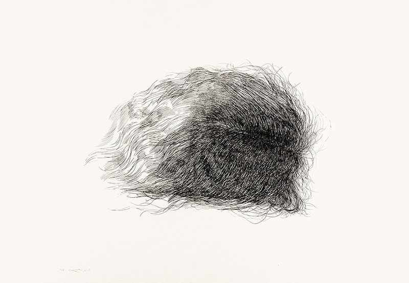 Reza Sedighian, Untitled, 2018