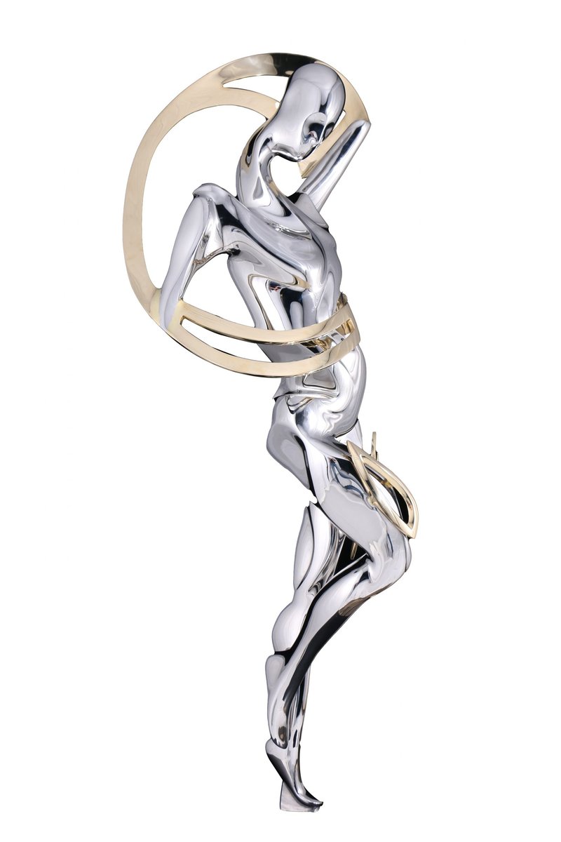 Amir Masoud Akhavan Jam, Rhythmic gymnast, 2016