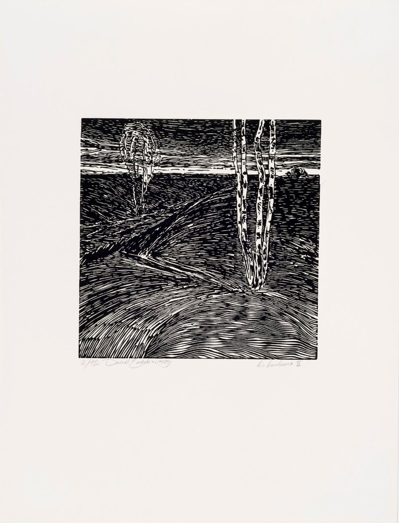 Davood Emdadian, Les Bouleaux II, 1979